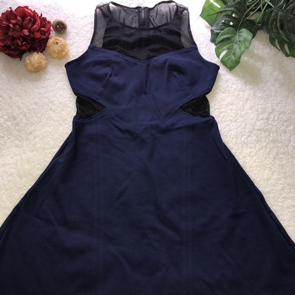 INTERMIX Other - Intermix Blue and Black Mesh Dress